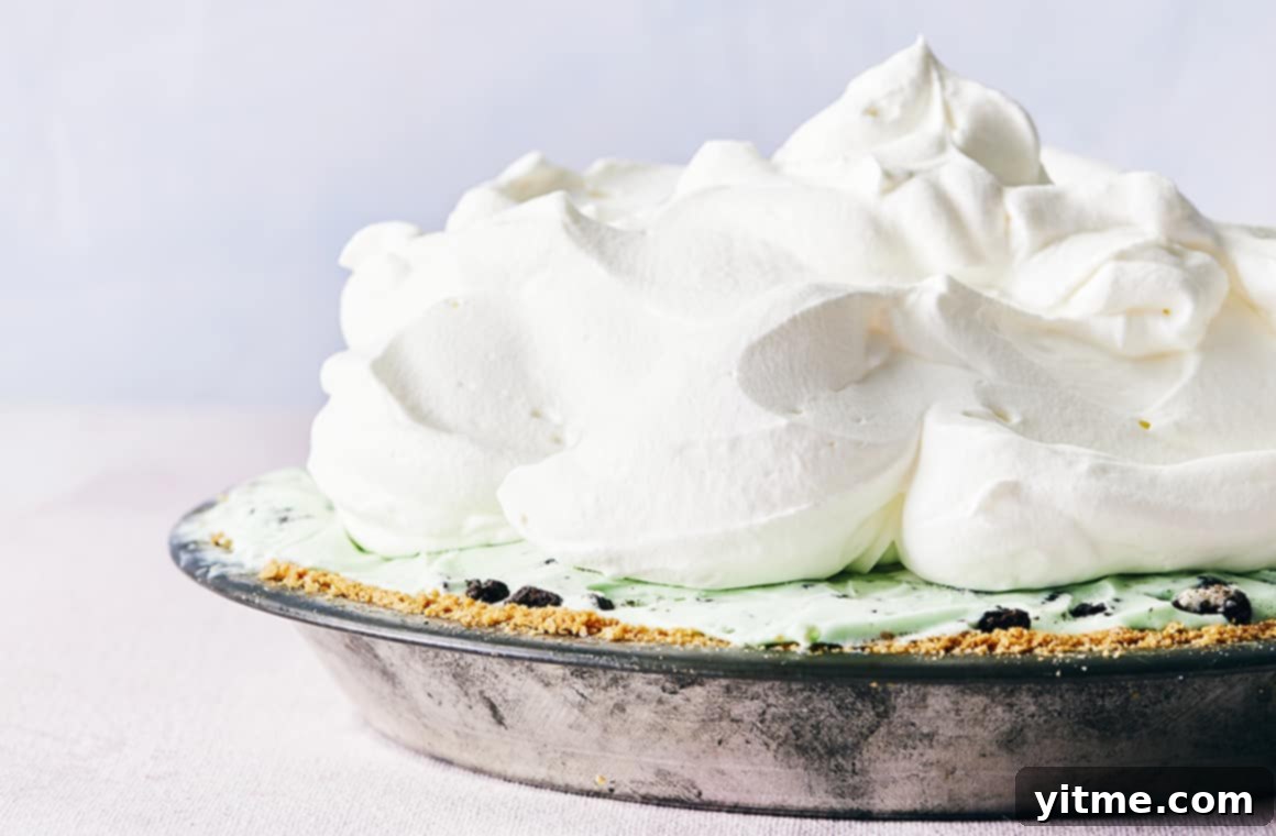 Mystery Ingredient Ice Cream Pie 3 A top-down view of a mint chocolate chip ice cream pie with a golden-brown waffle cone crust, garnished with fresh mint leaves and chocolate shavings.