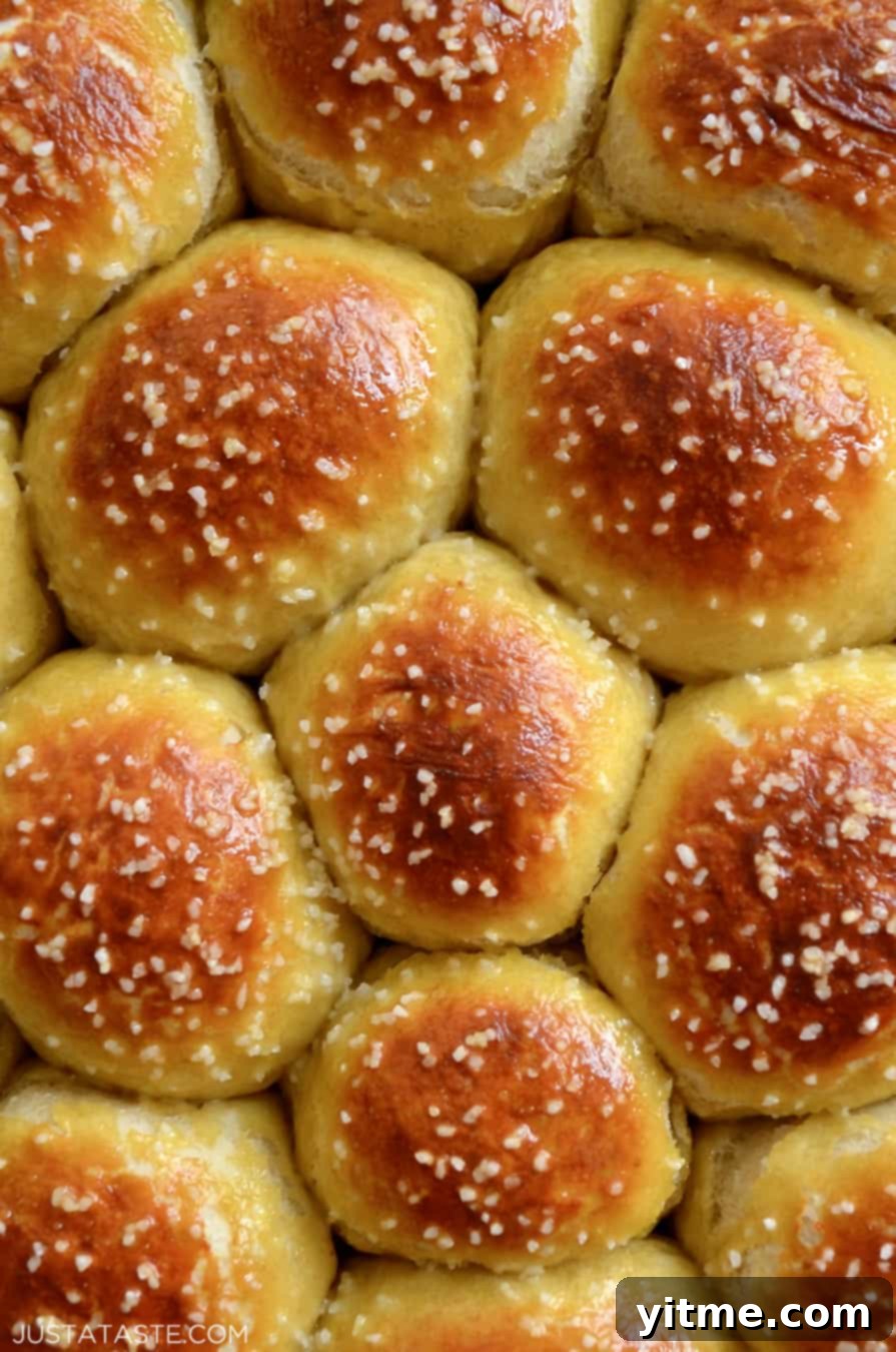 A close-up shot showcasing the beautiful golden-brown crust and coarse salt topping of a baked soft pretzel roll.