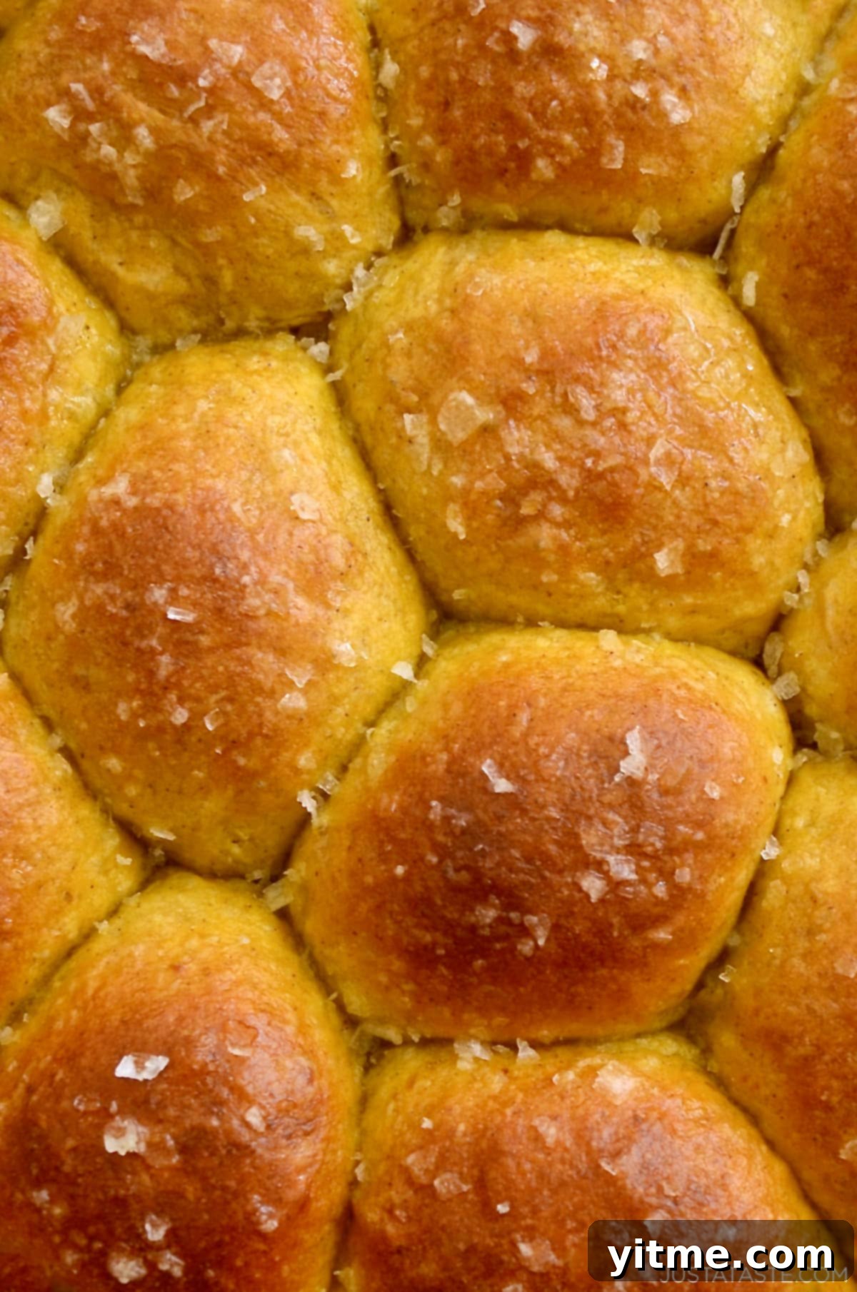 Pumpkin dinner rolls topped with large-flake sea salt.