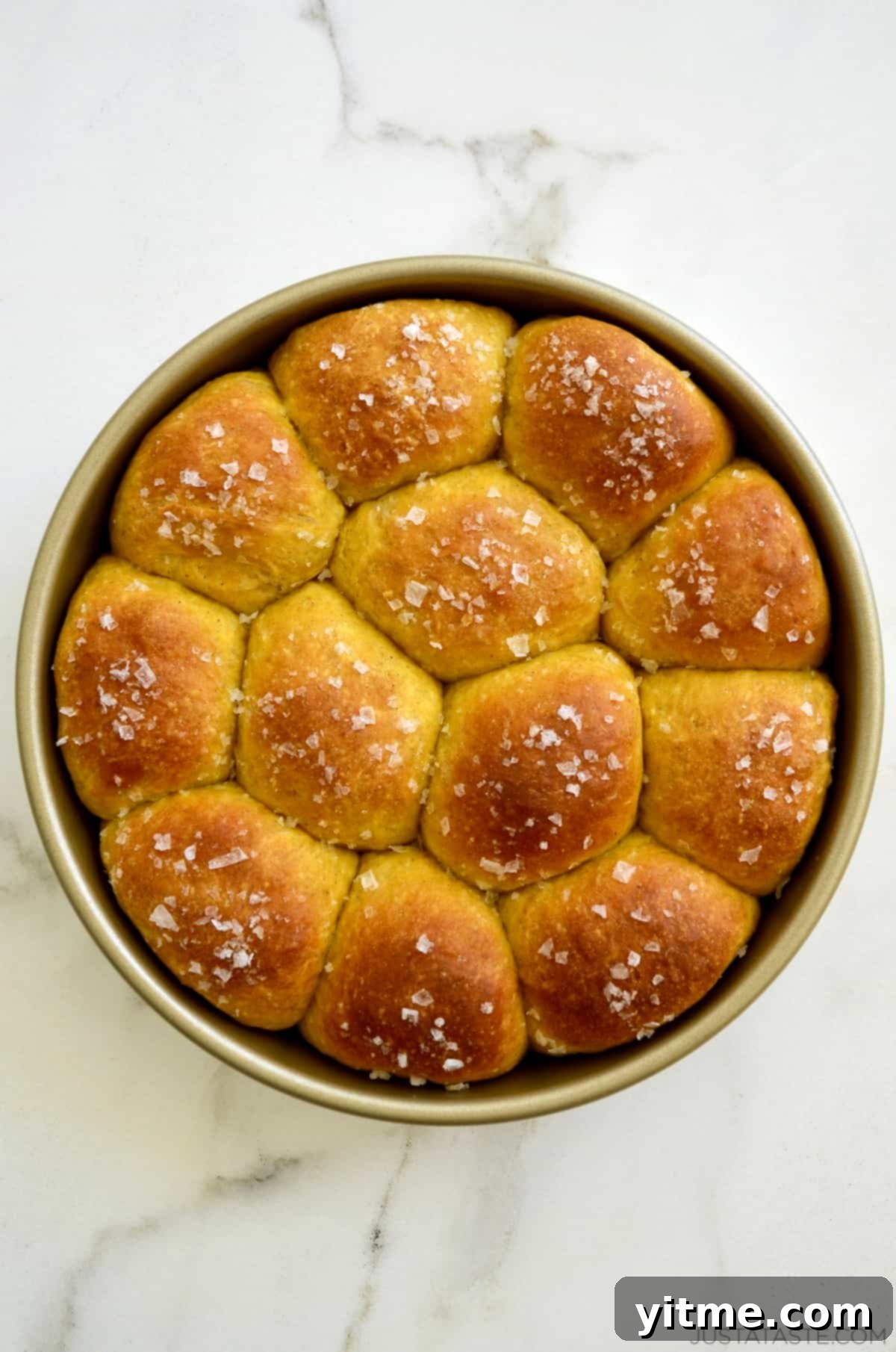 Golden brown pumpkin dinner rolls in a baking pan, garnished with sea salt.
