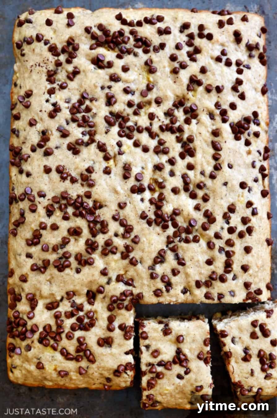 Chocolate Chip Banana Bars