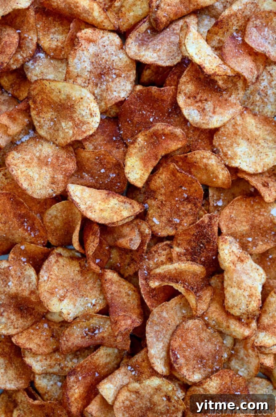 A close-up view of the best homemade barbecue potato chips, generously seasoned with a perfect sprinkle of sea salt and barbecue spices.