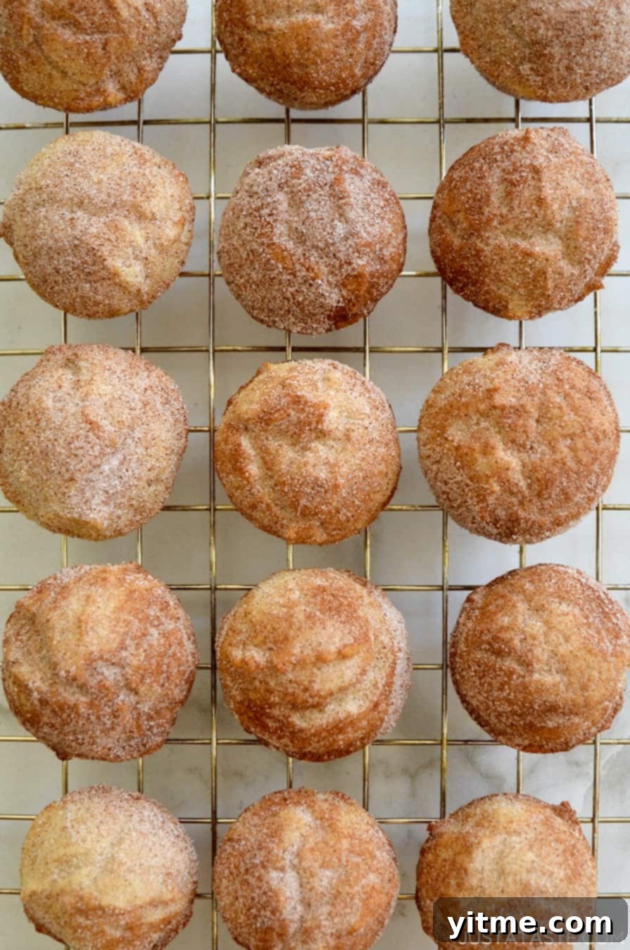 Sour Cream Doughnut Bites 3 A top-down view of Mini Sour Cream Doughnut Muffins arranged on a wire cooling rack, highlighting their even baking and appealing cinnamon-sugar dusting.