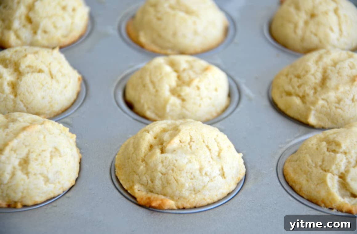 Sour Cream Doughnut Bites 5 Freshly baked mini sour cream muffins cooling in a muffin tin, demonstrating their even rise and appealing golden-brown color.
