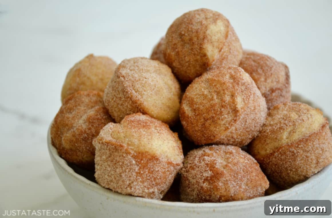 Sour Cream Doughnut Bites 7 A bowl of Churro Mini Sour Cream Doughnut Muffins, dusted with cinnamon-sugar, showcasing their golden-brown exterior and delightful texture.