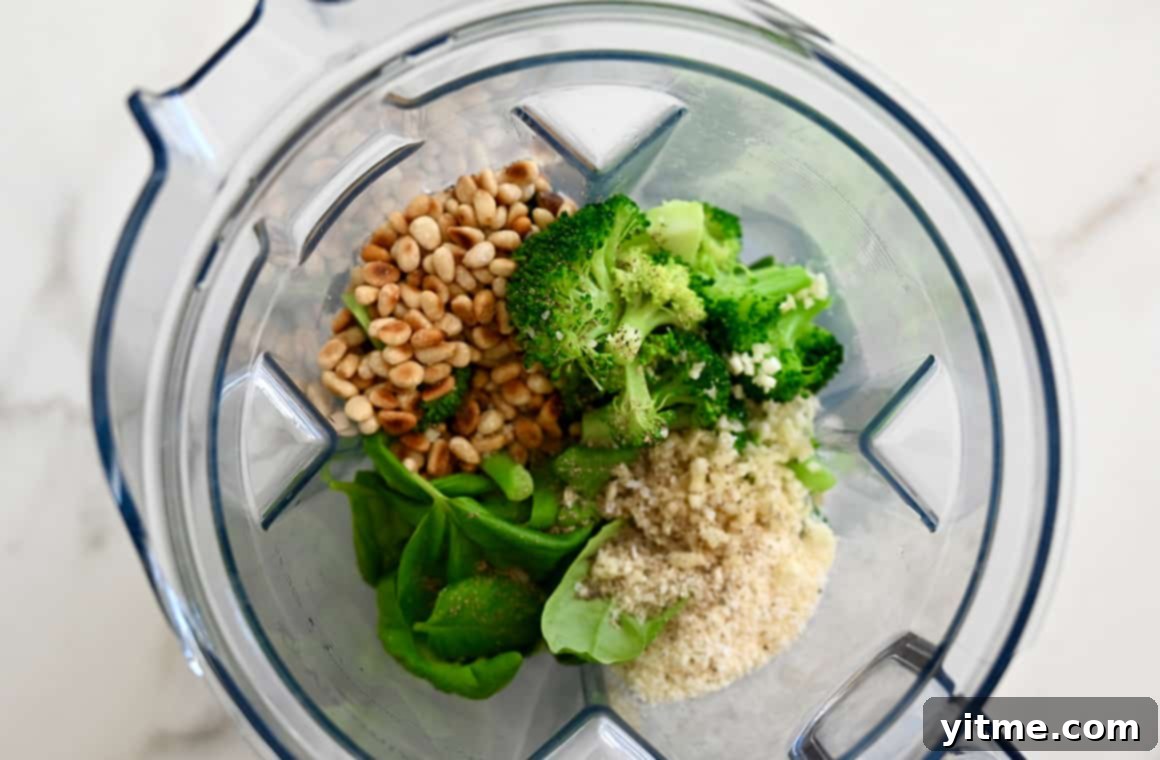 Making Broccoli Pesto in a blender
