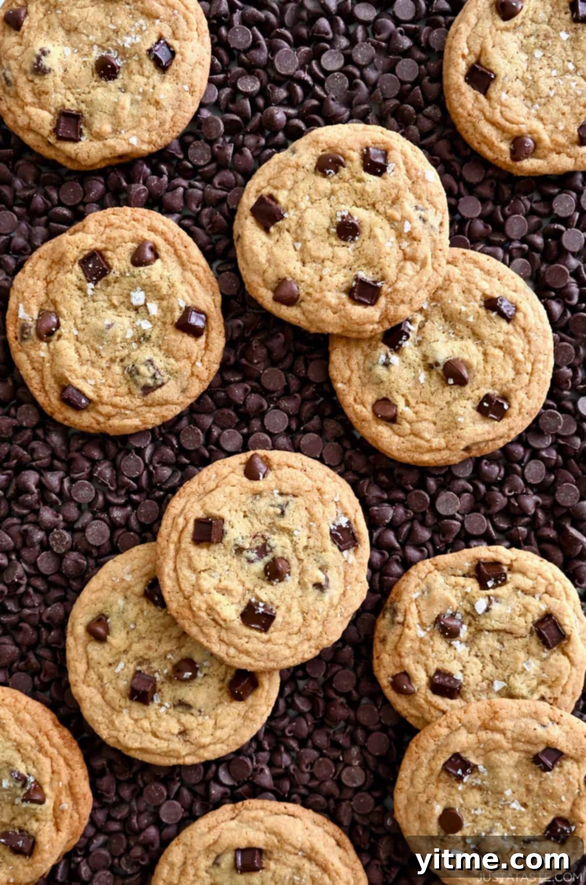 The best chewy chocolate chip chip cookies, golden brown and sprinkled with sea salt, resting atop a bed of various chocolate chips and chunks.