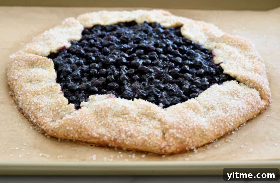 Rustic Blueberry Tart with Honey-Thyme Drizzle 7 Freshly baked berry galette on a parchment paper-lined baking sheet.