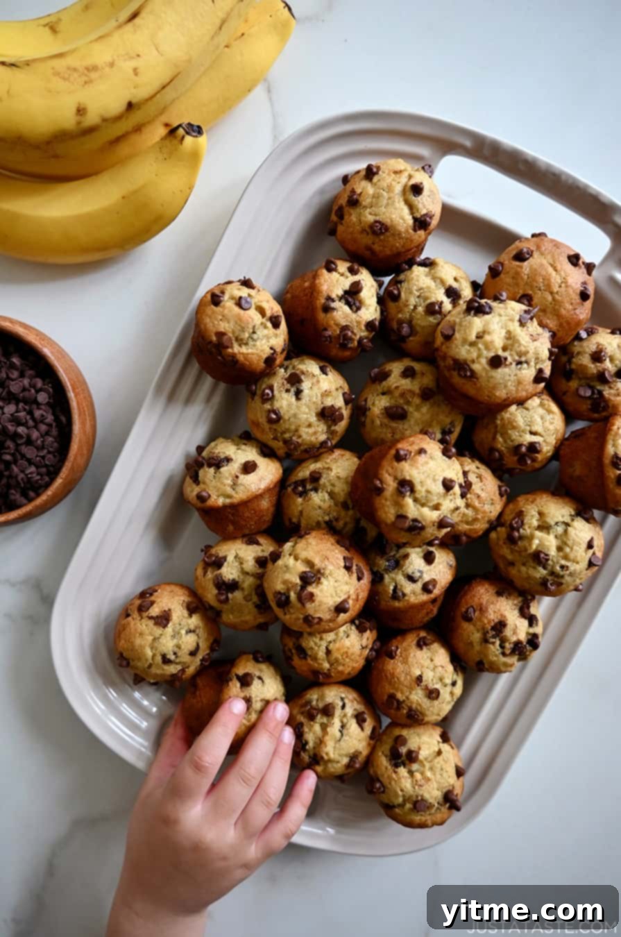 A child reaching for a muffin from a platter of Mini Banana Chocolate Chip Muffins