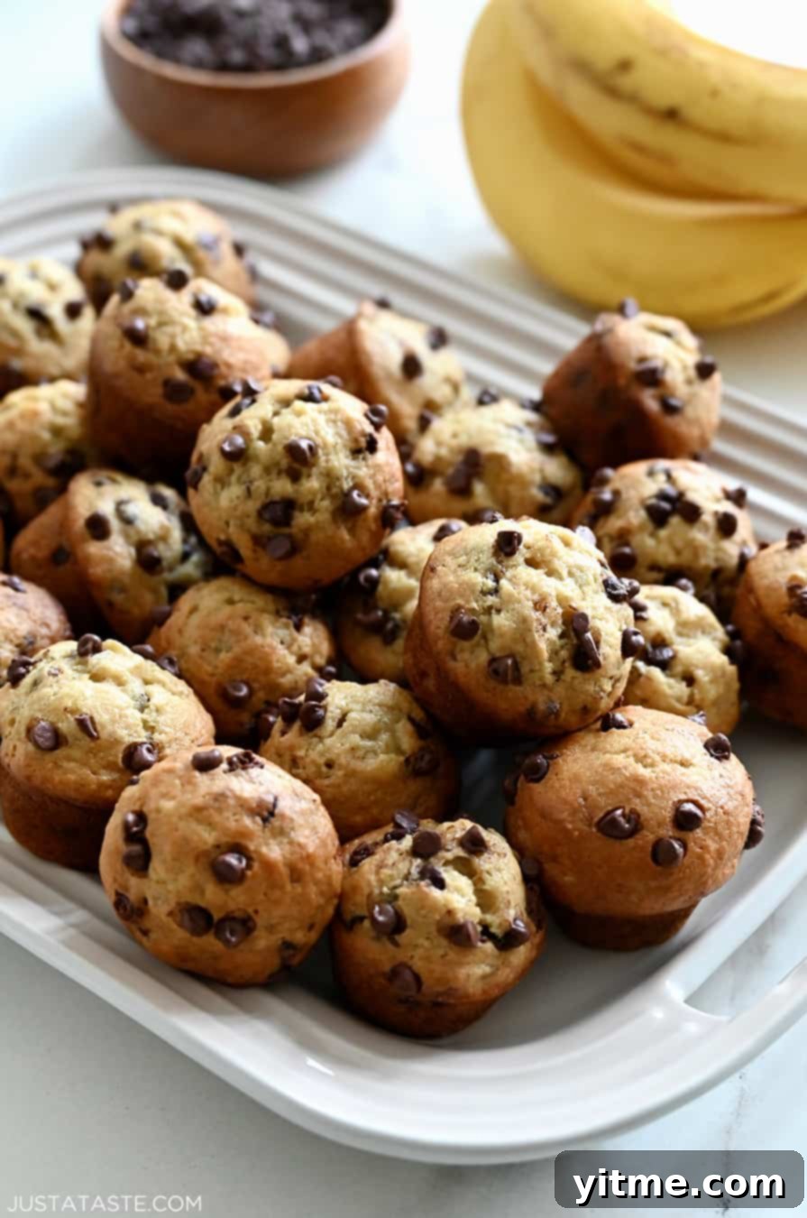 Mini Chocolate Chip Banana Muffins on a platter with bananas