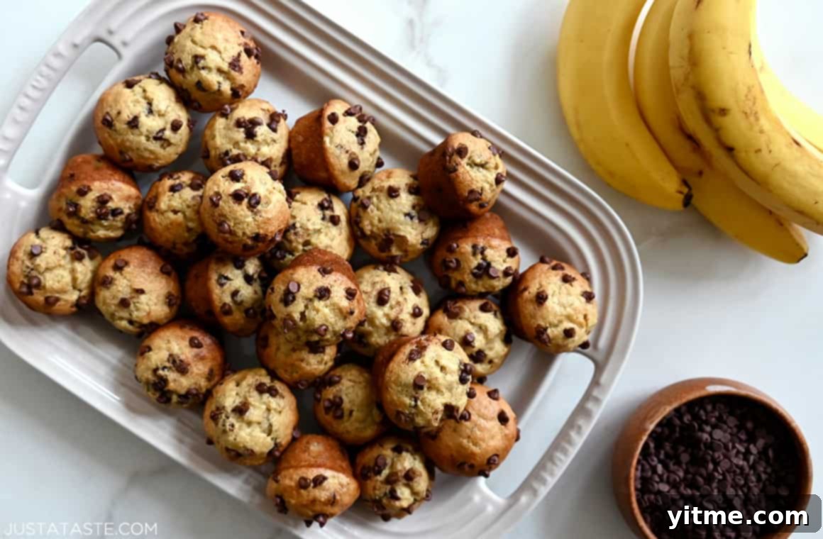 Mini Banana Chocolate Chip Muffins on a plate with bananas and chocolate chips