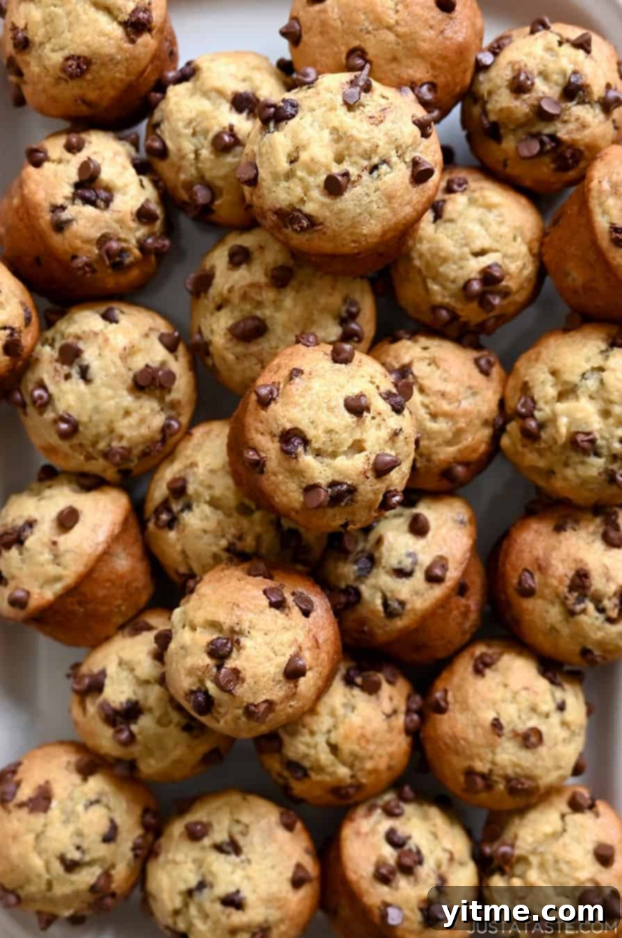 Close-up of mini banana muffins with mini chocolate chips