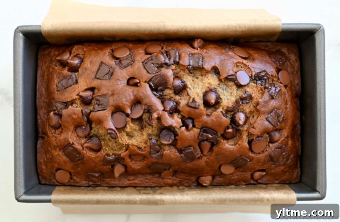 A top-down view of extra-moist Buttermilk Banana Bread studded with chocolate chips and chunks in a parchment paper-lined loaf pan