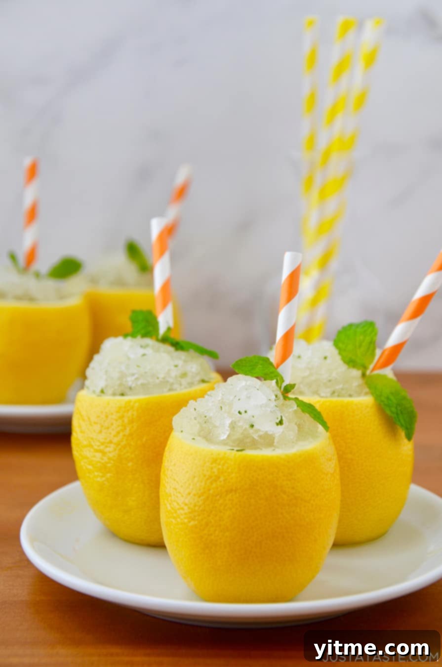 Zesty Lemonade Twists 4 Hollowed-out lemons filled with refreshing lemon-mint granita, a perfect summer treat
