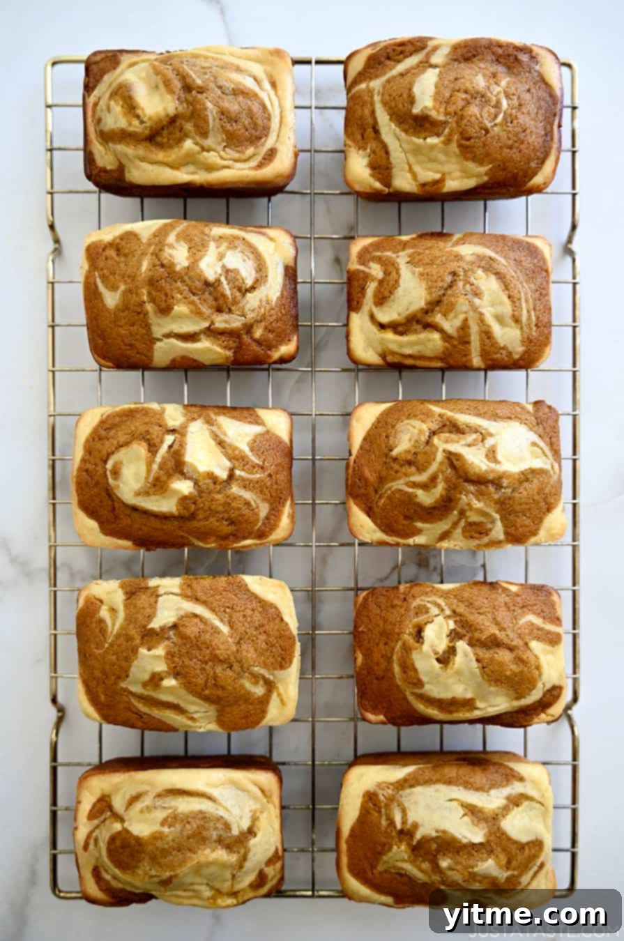 A top-down view of Pumpkin Cream Cheese Mini Loaves cooling on a wire rack