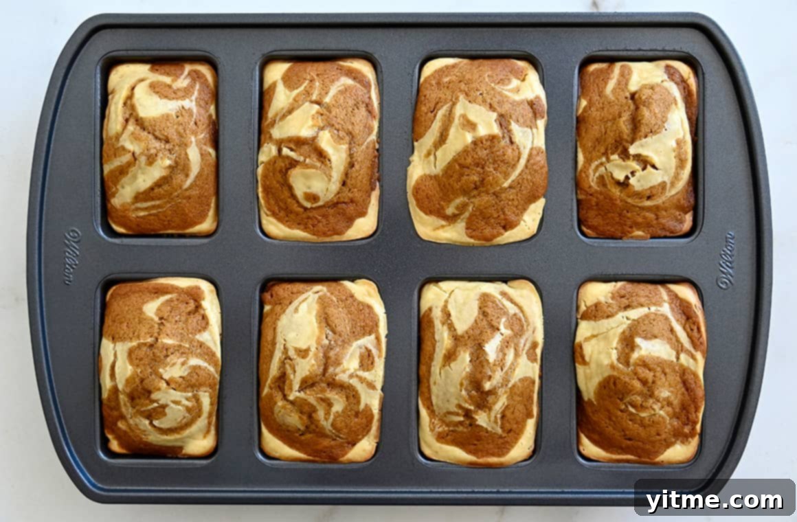 A top-down view of a mini loaf pan with freshly baked mini pumpkin cheesecake loaves