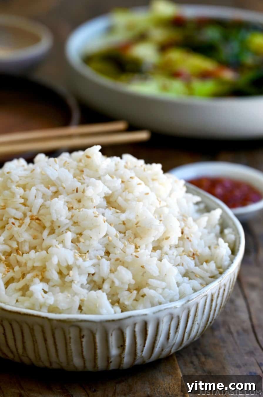 Luscious Coconut Rice: A Tropical Culinary Delight 7 Creamy coconut rice in a bowl