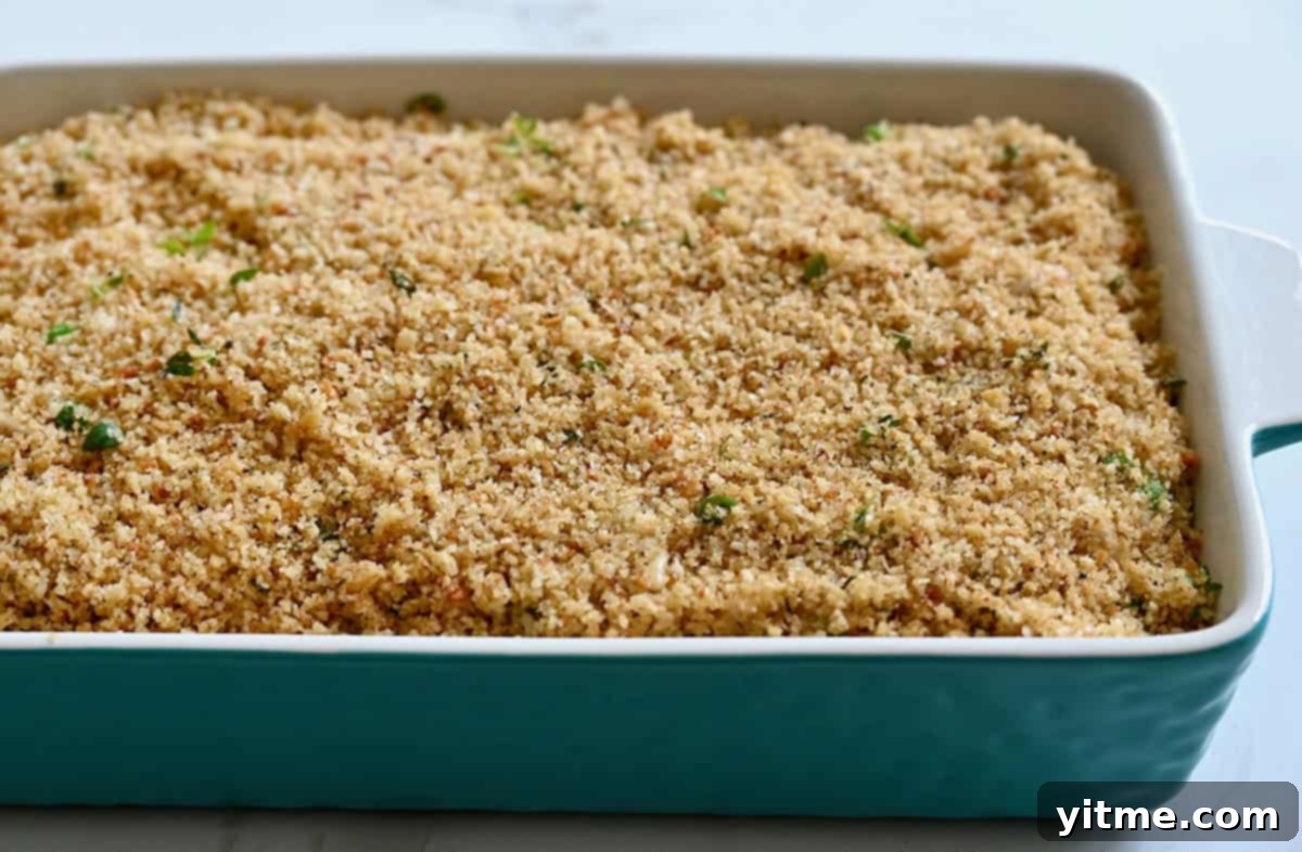Effortless Turkey Tetrazzini 6 A large baking dish showcasing the finished casserole, topped with golden-brown, crispy breadcrumbs, fresh out of the oven.