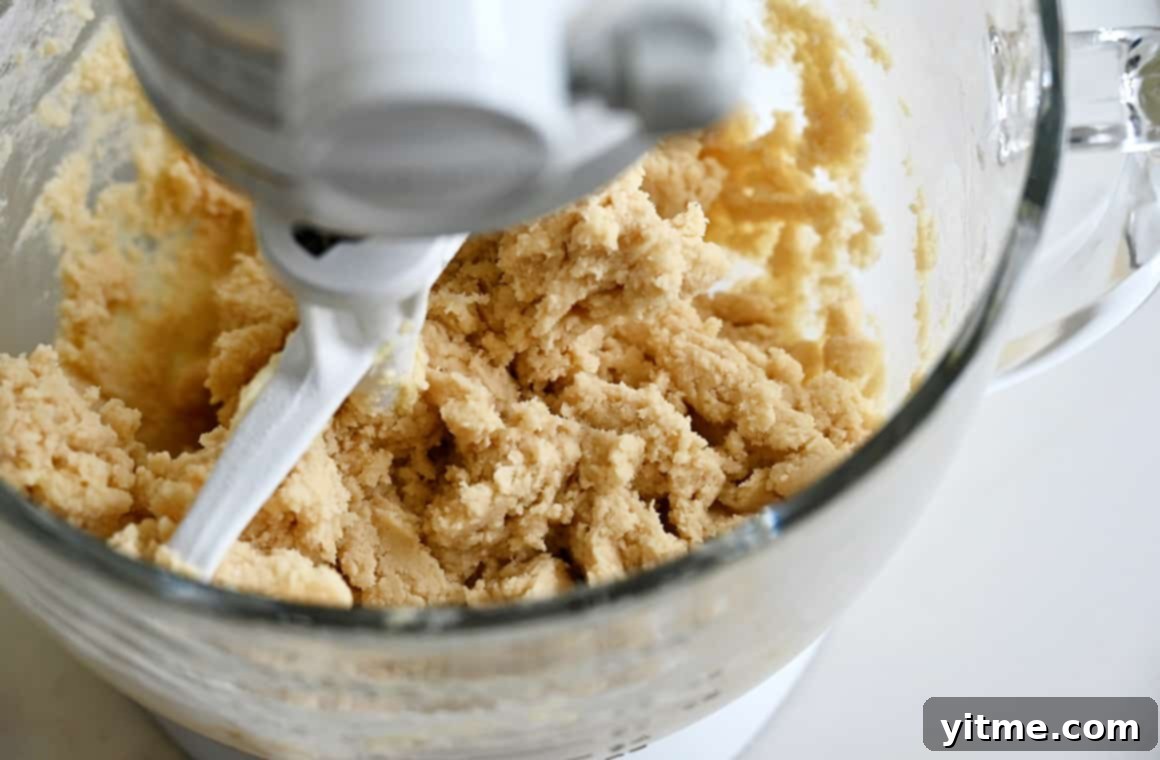 Cinnamon Swirl Cookies 3 Cookie dough being mixed in a stand mixer with a paddle attachment