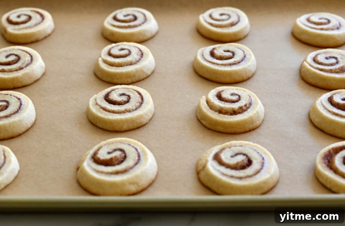 Cinnamon Swirl Cookies 7 Baked cinnamon roll cookies on a parchment paper-lined baking sheet