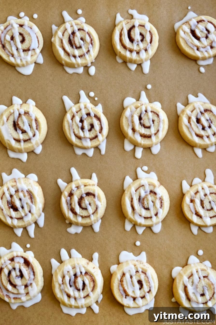 Cinnamon Swirl Cookies 9 Cinnamon Roll Cookies drizzled with icing