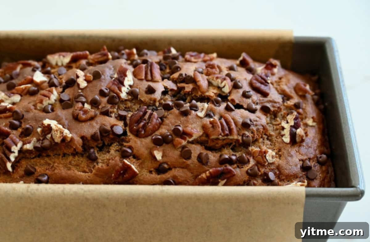 Freshly baked healthy banana bread with mini chocolate chips and chopped pecans in a loaf pan lined with parchment paper.
