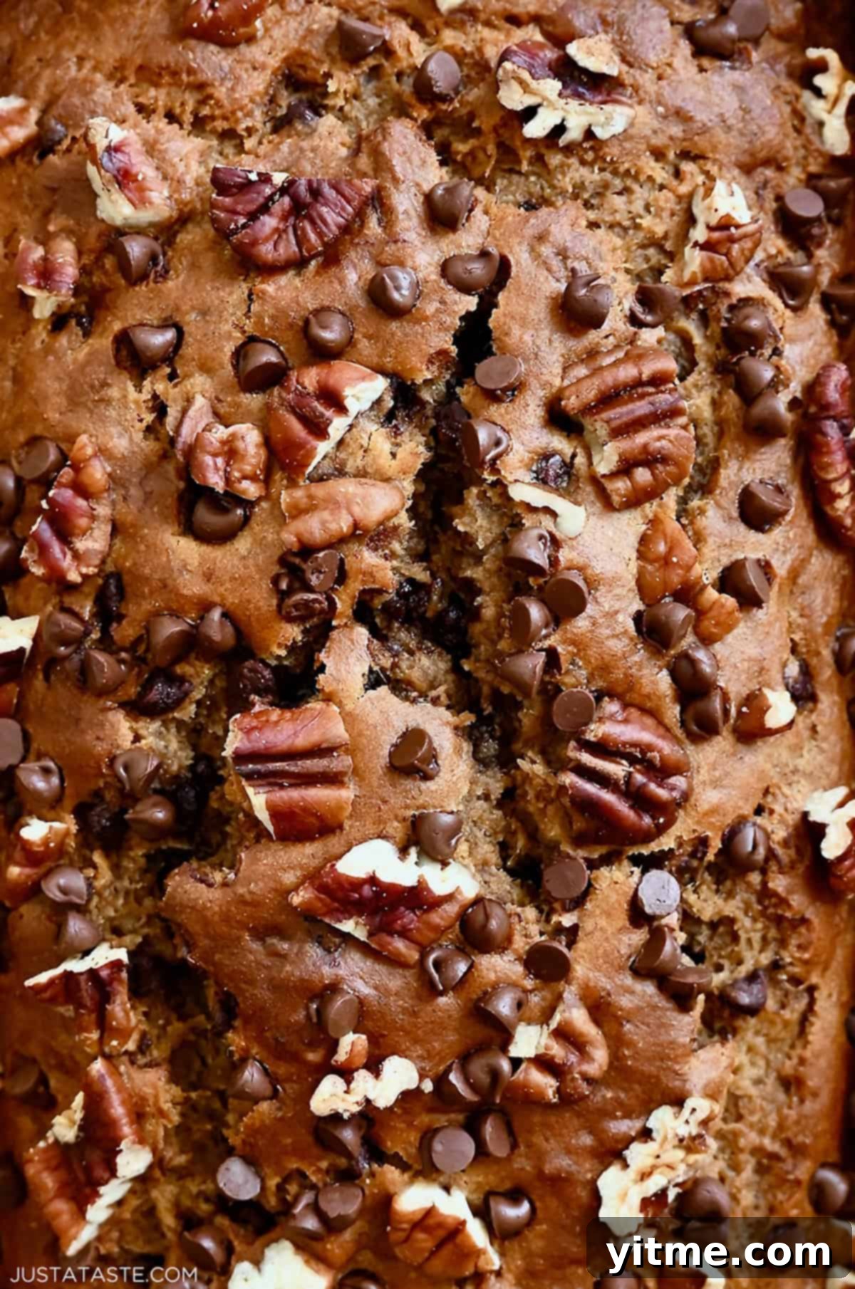 Healthy whole wheat banana bread topped with chopped pecans and mini chocolate chips.