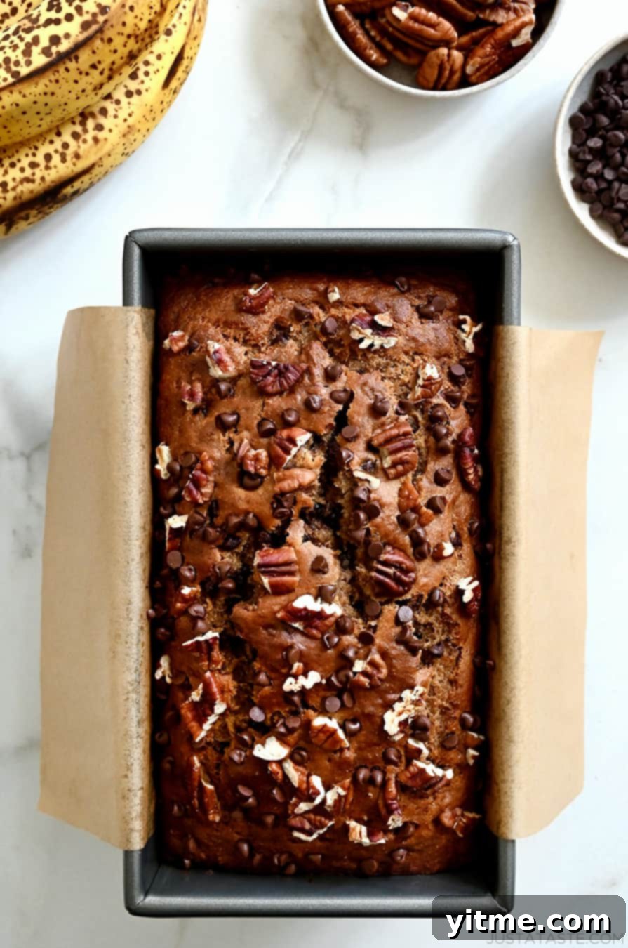 A top-down view of whole wheat banana bread topped with mini chocolate chips and chopped pecans in a parchment paper-lined bread pan