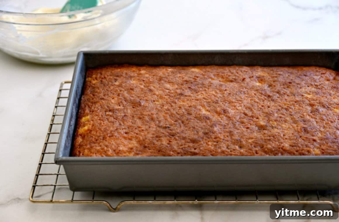 Zesty Carrot Cake Squares with Creamy Frosting 6 Sheet cake cooling on a wire rack