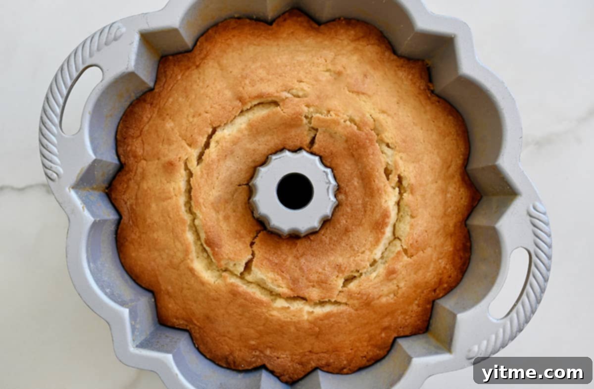 A golden brown cake in a bundt pan.