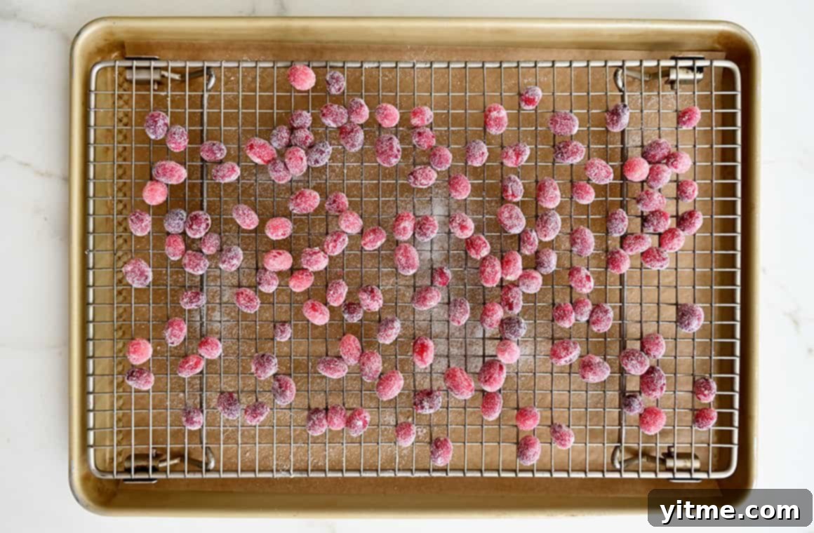Sugared cranberries drying on a wire rack