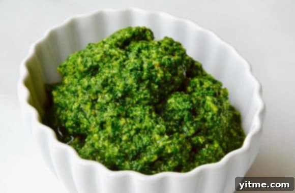 Puréed basil pesto pasta in a white dish