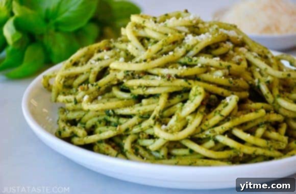 Basil pesto bucatini pasta on a white plate