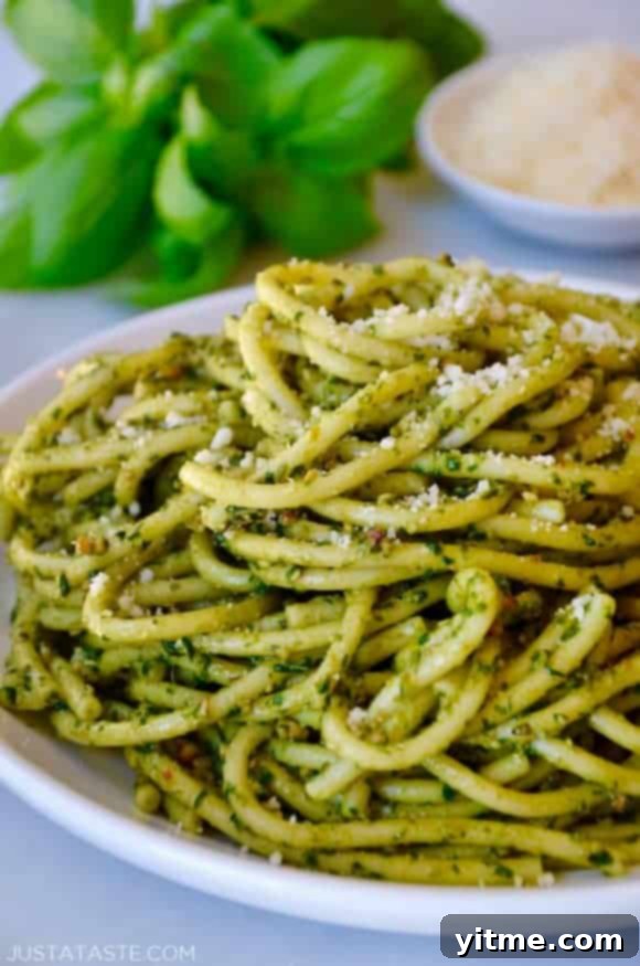 Basil pesto pasta on a white plate with basil and cheese
