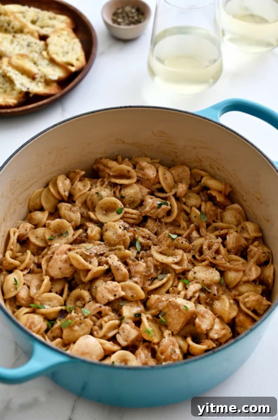 A delectable serving of French onion pasta with chicken, accompanied by crispy Gruyere toasts.