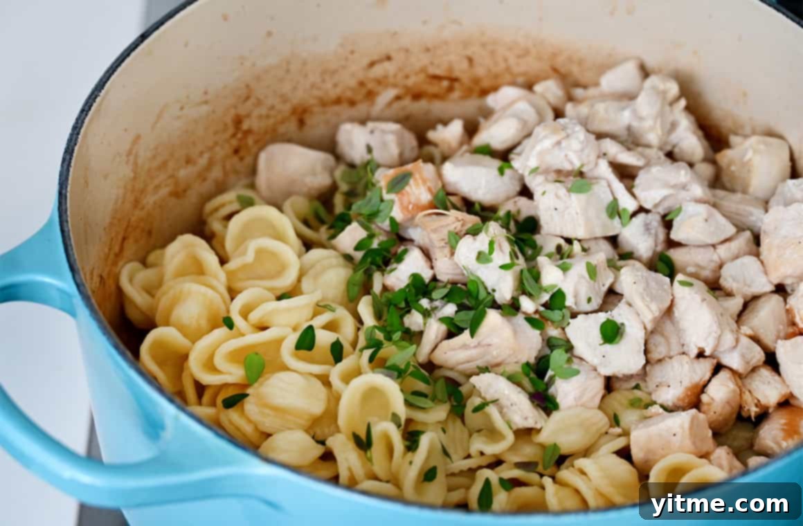 Orecchiette pasta, chicken breasts, and fresh thyme combined in a rich sauce.