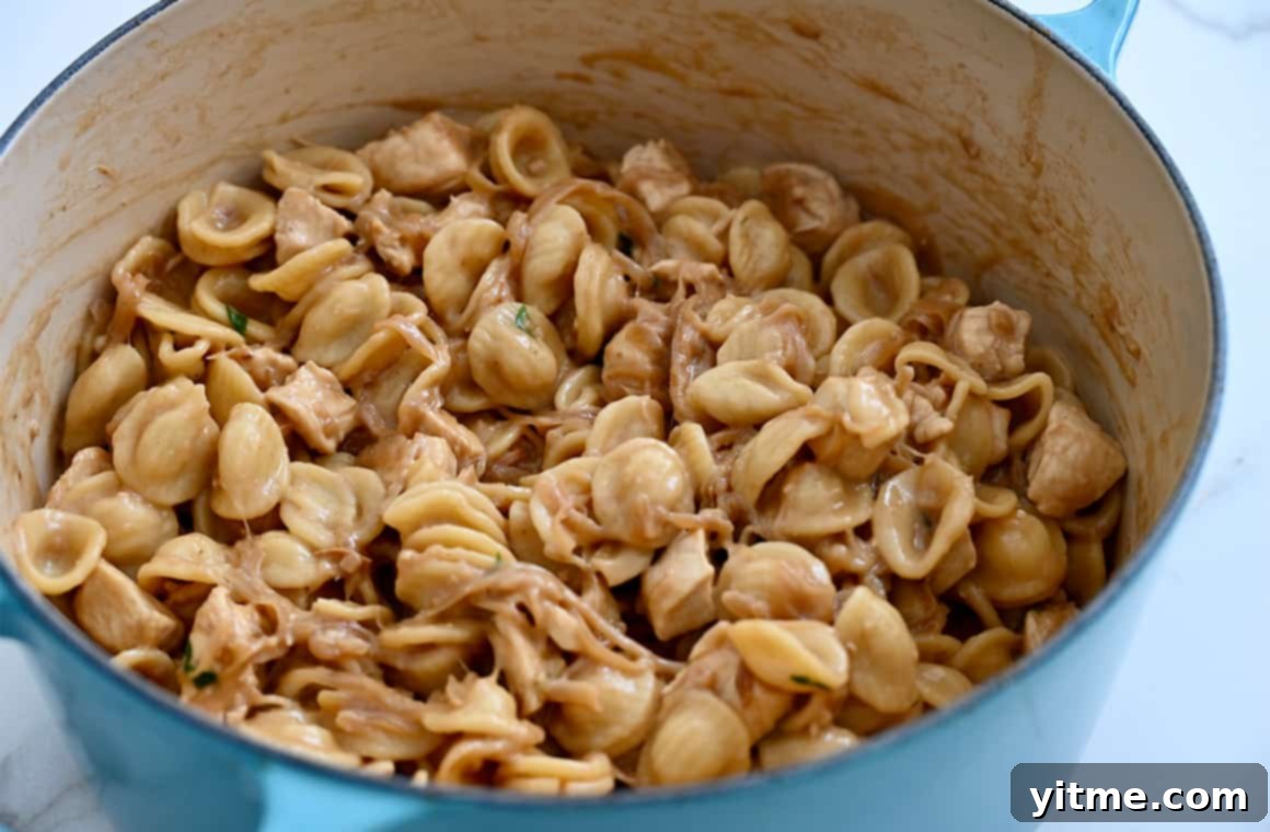 French onion chicken pasta with a rich and creamy sauce.