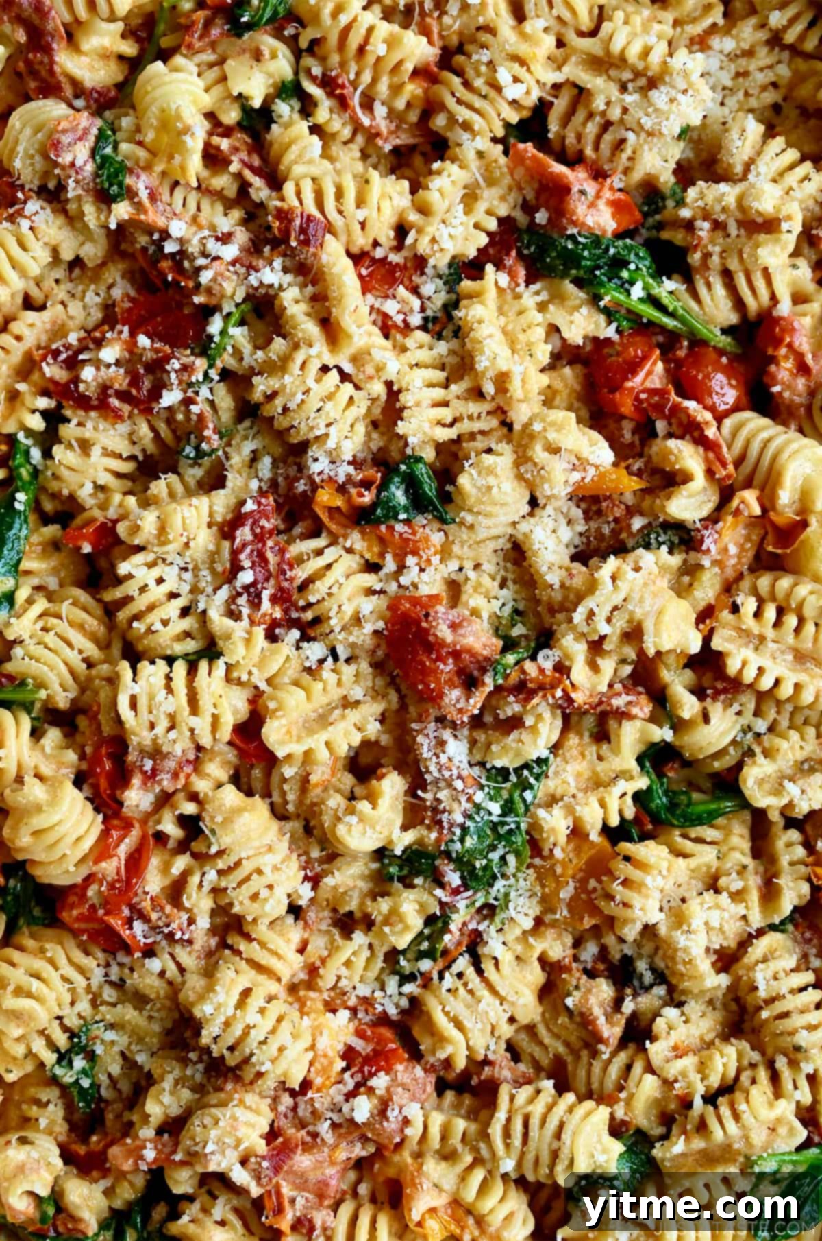 A close-up view of short pasta noodles with sun-dried tomatoes, roasted cherry tomatoes and spinach garnished with parmesan cheese.