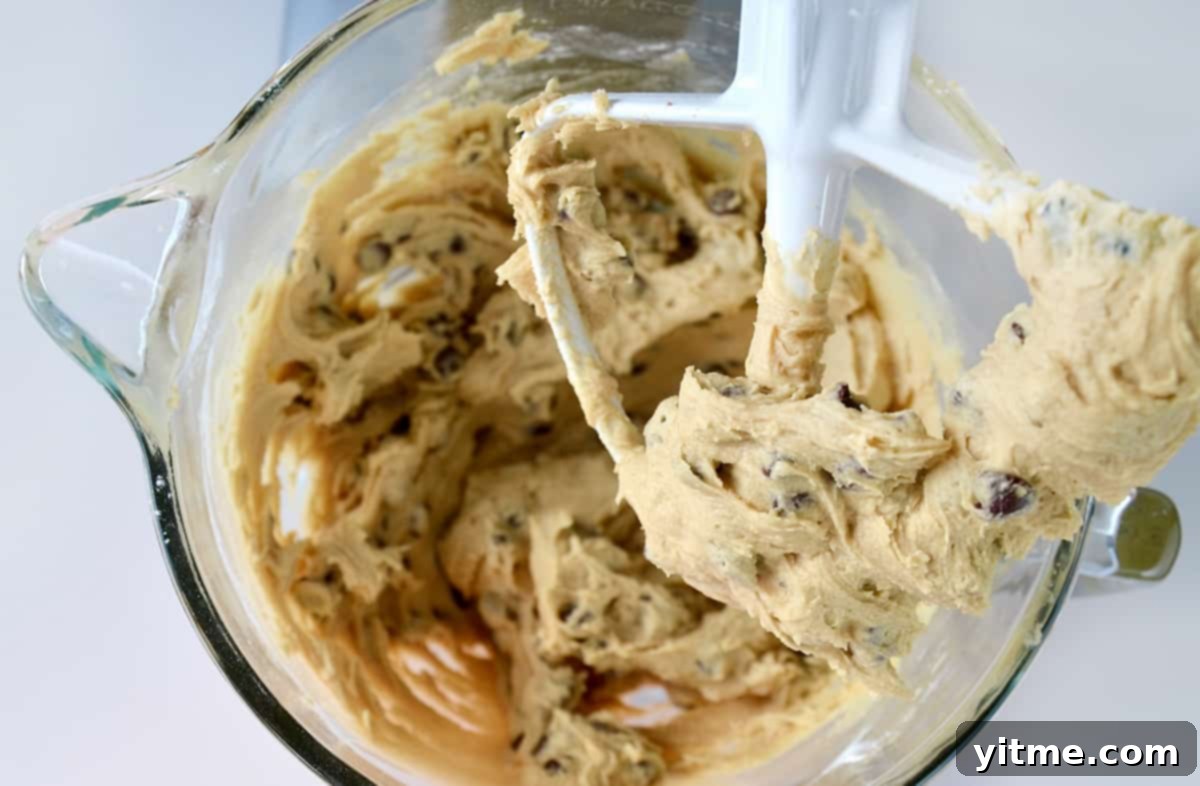 Chocolate chip cookie dough in a stand mixer.