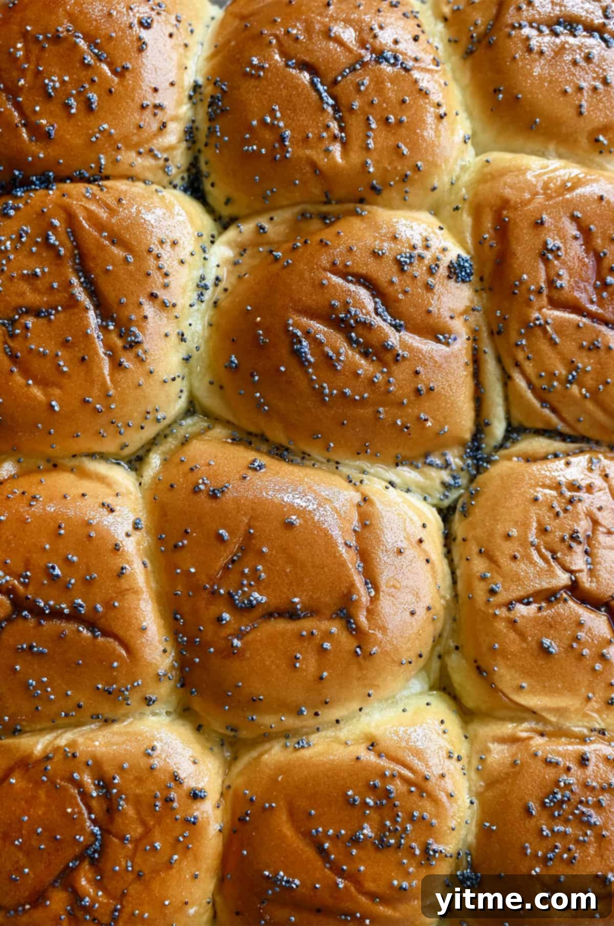Hawaiian rolls topped with poppy seeds.