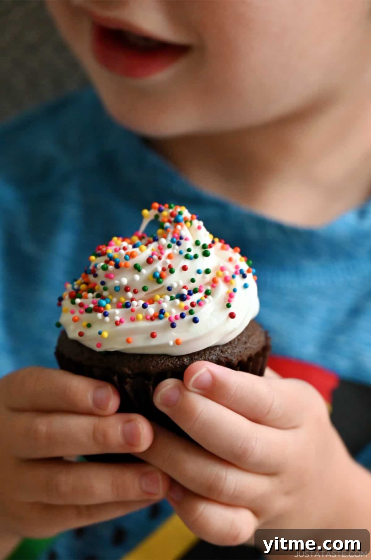 A child holds a chocolate cupcake with vanilla frosting and rainbow sprinkles.