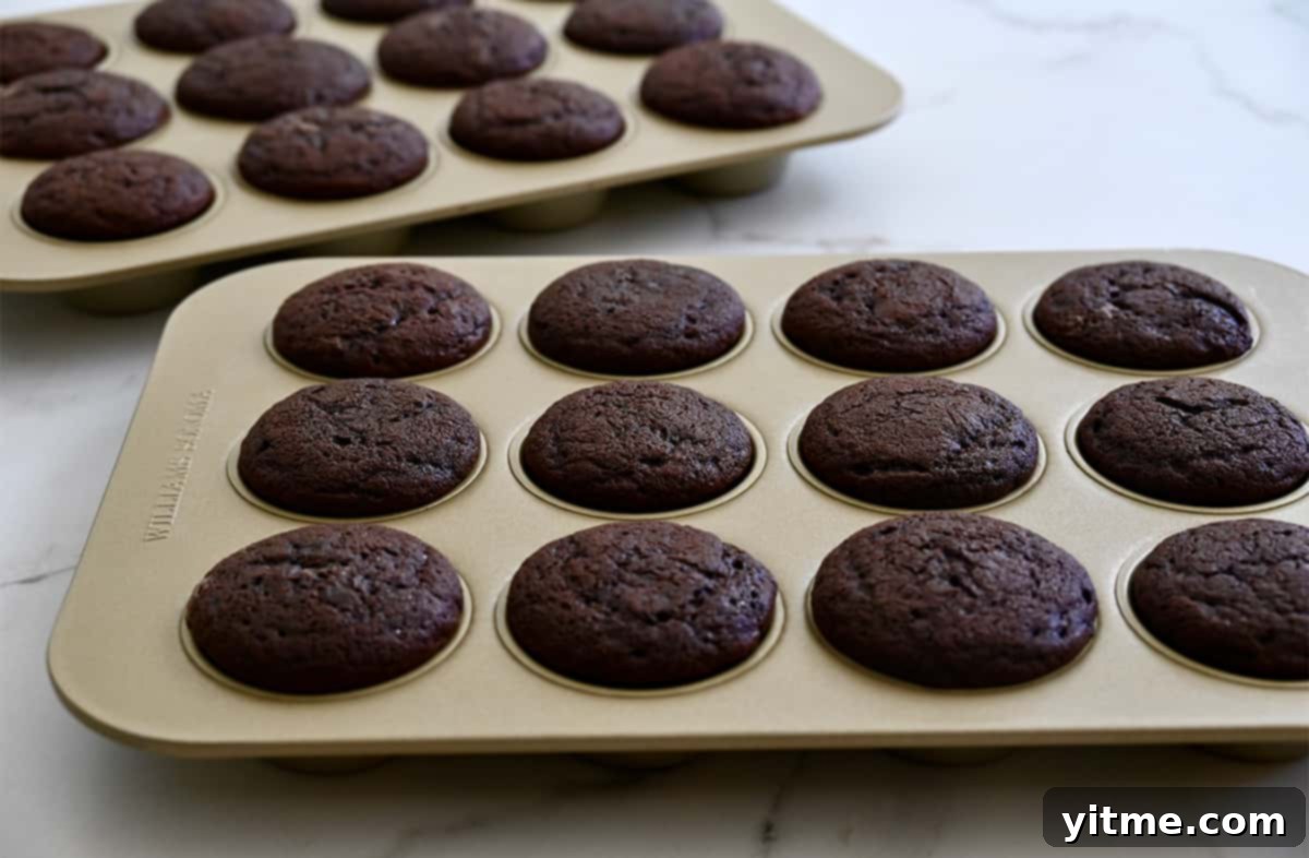 Freshly baked chocolate cupcakes in a muffin tin.