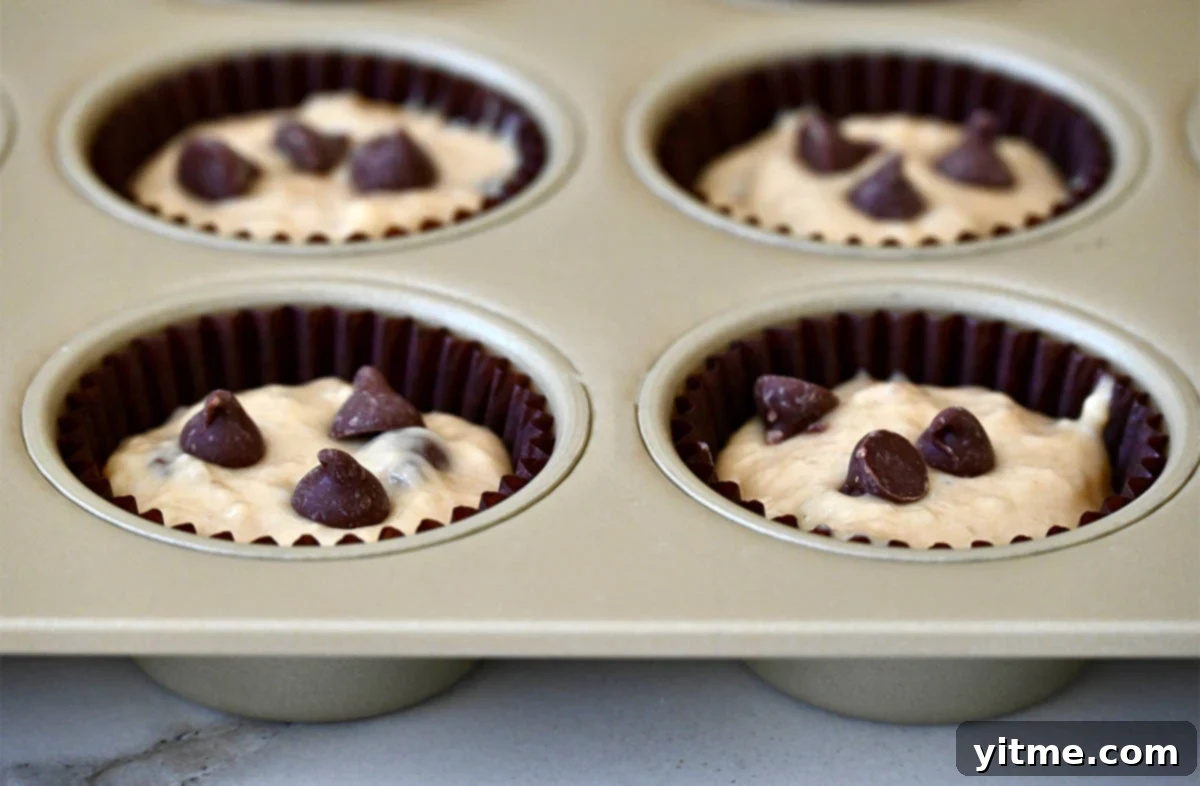 Greek Yogurt Banana Muffins
Deliciously Healthy: Greek Yogurt Banana Muffins 6 Unbaked banana bread muffins topped with chocolate chips in a muffin pan.