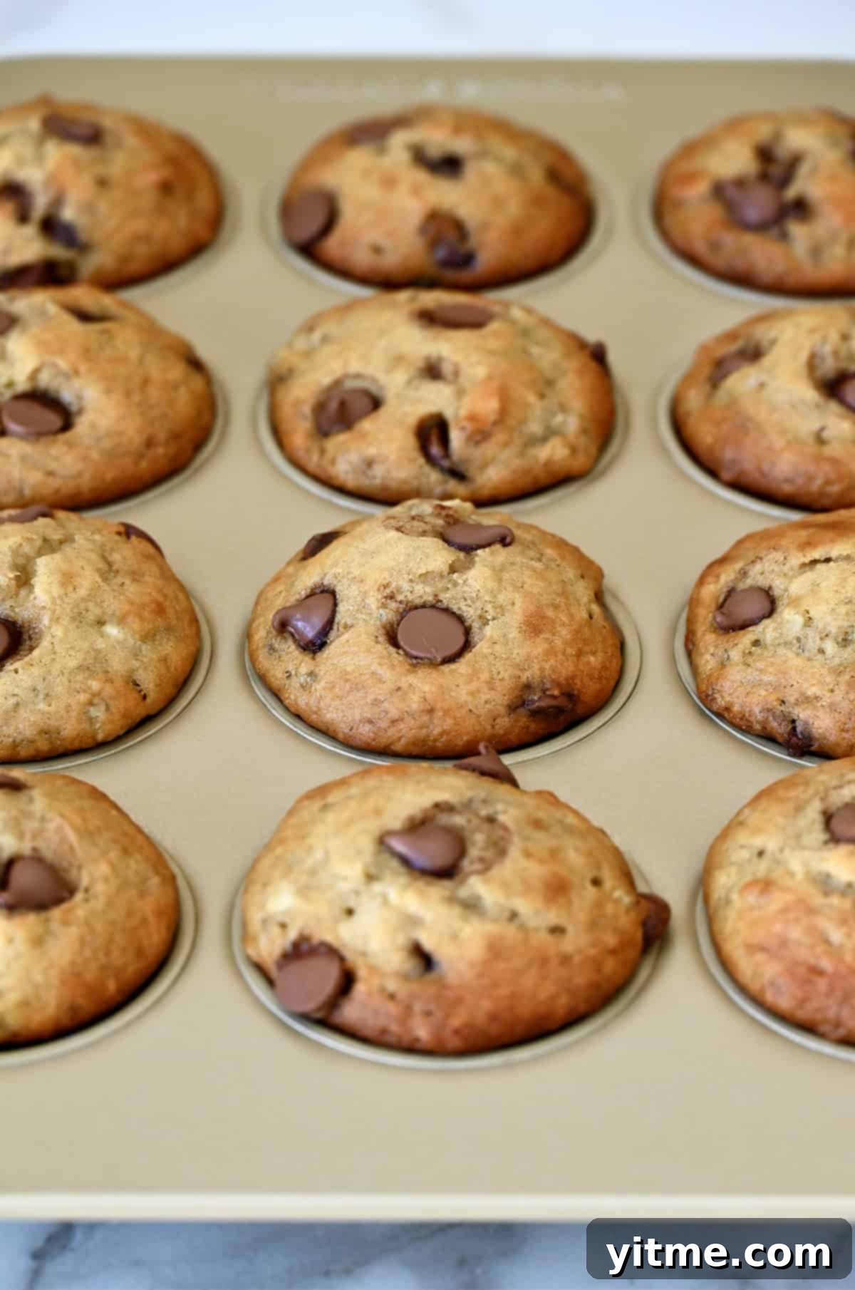 Greek Yogurt Banana Muffins
Deliciously Healthy: Greek Yogurt Banana Muffins 7 Banana chocolate chip muffins in a muffin tin.