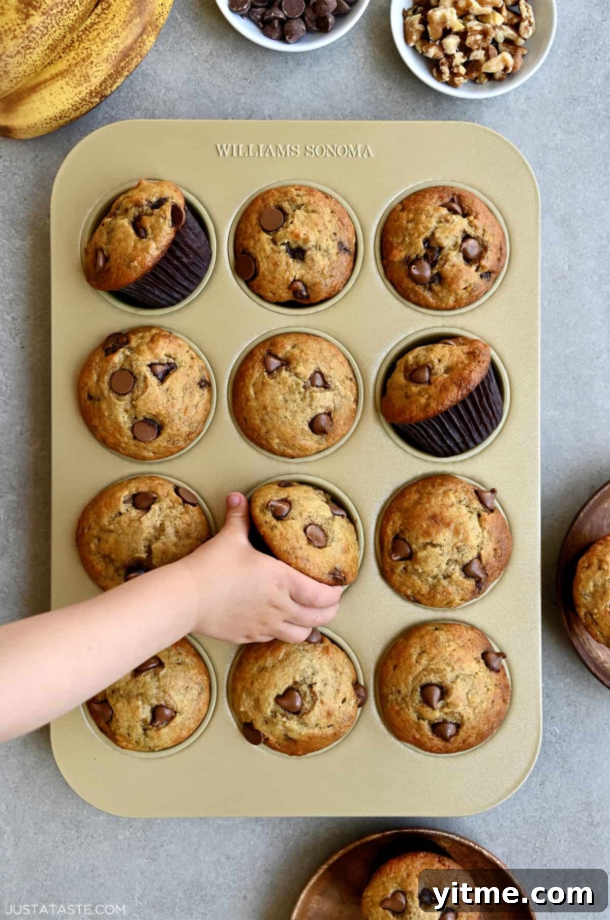 Greek Yogurt Banana Muffins
Deliciously Healthy: Greek Yogurt Banana Muffins 8 A child's hand reaches for a chocolate chunk Greek yogurt banana muffin in a muffin tin.
