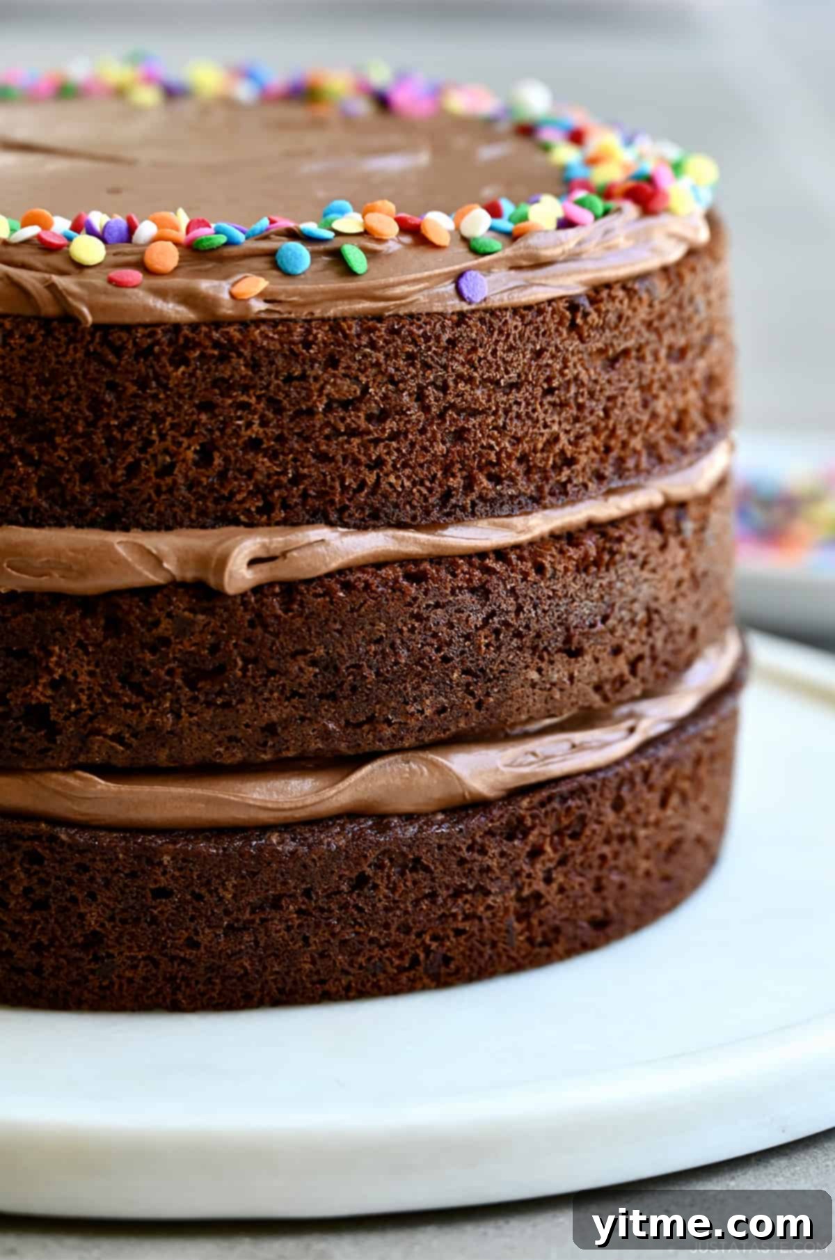 A three-tiered chocolate cake with coffee buttercream frosting and rainbow sprinkles on a round serving platter.