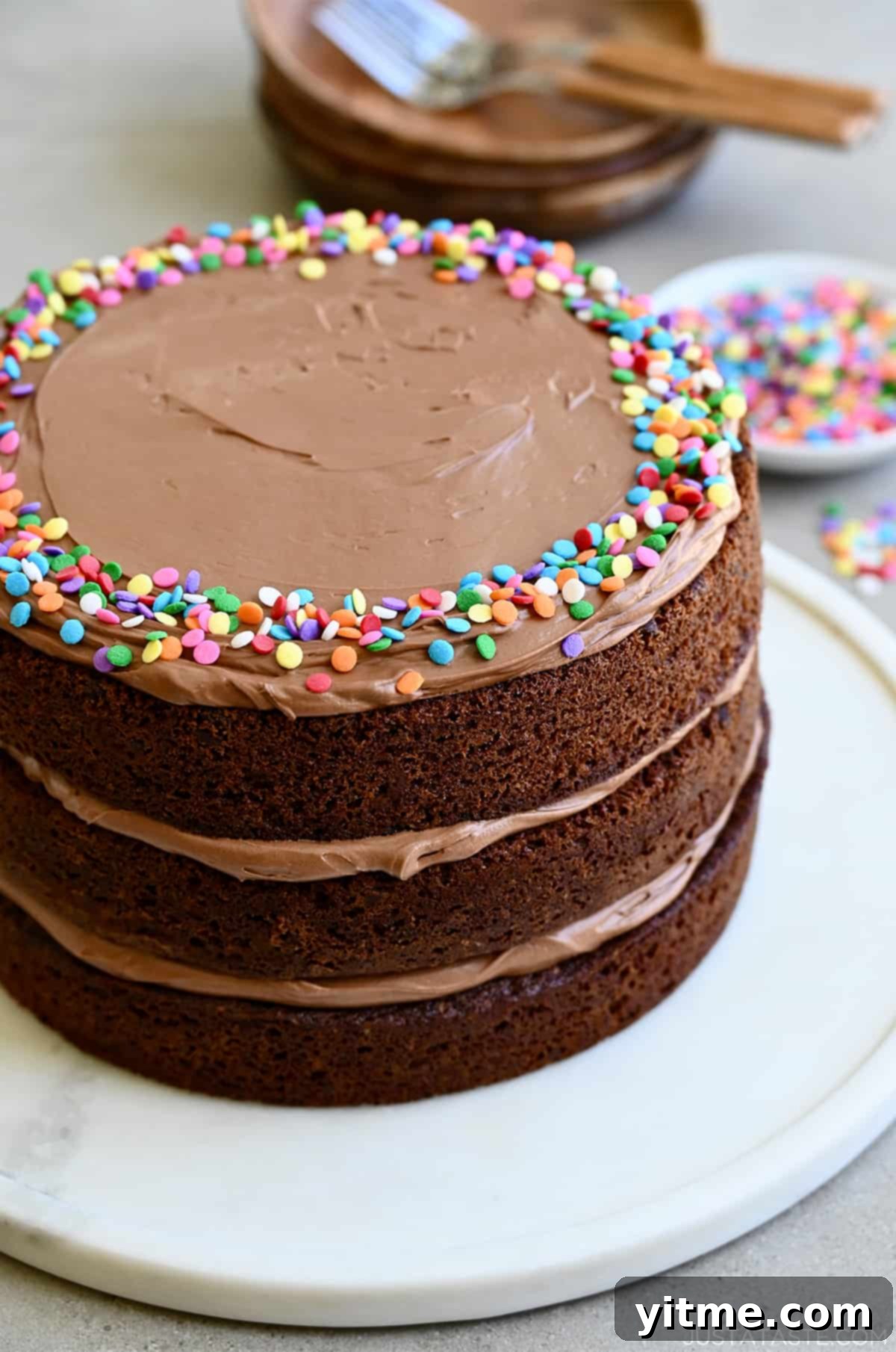 A three-tiered chocolate cake with layers of coffee frosting and topped with sprinkles.
