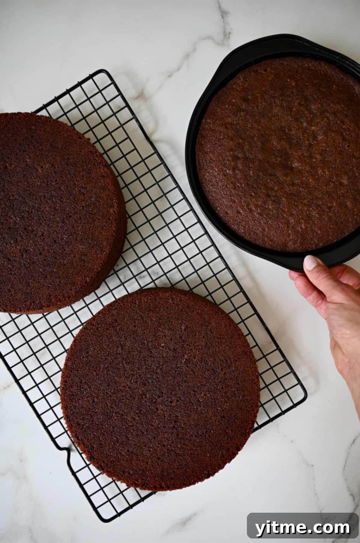 Two round chocolate cakes cooling on a wire rack next to a freshly baked cake.