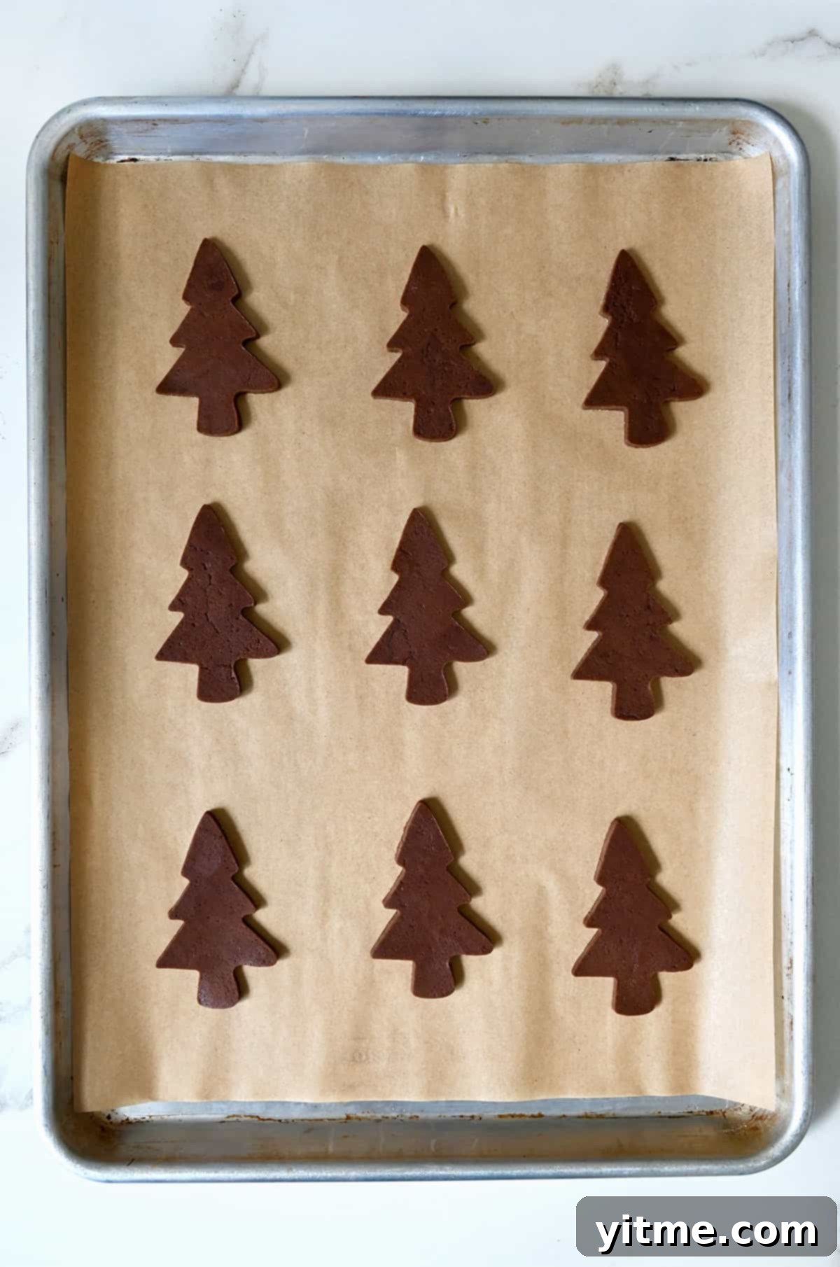 Unbaked chocolate sugar cookies in the shape of trees on a parchment paper-lined baking sheet.