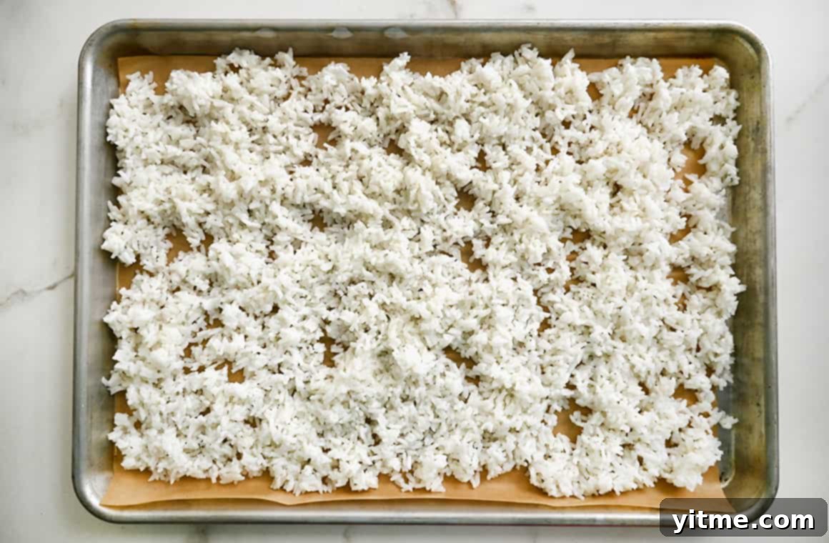 Day-old white rice cooling on a baking sheet